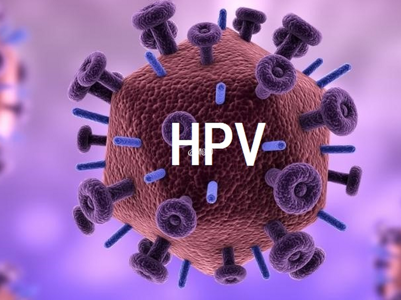 哪几种高危HPV最不容易转阴