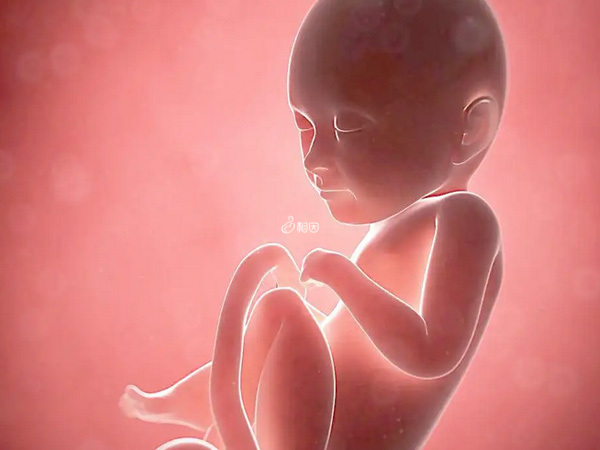 宫内缺氧会导致胎儿不爱动