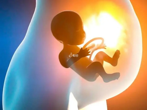 孕30周胎儿双顶径7.83厘米