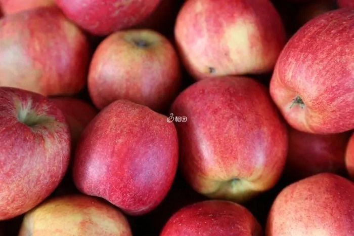 苹果是10大强酸性水果之一