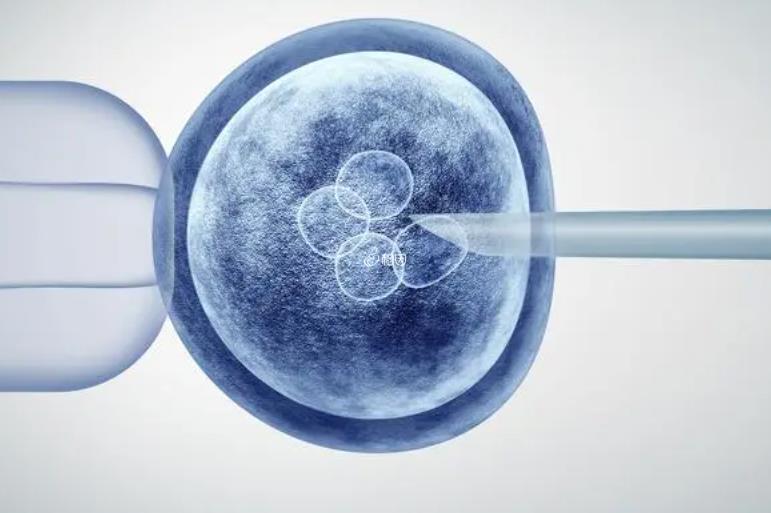 三天鲜胚移植第几天能验尿测出来