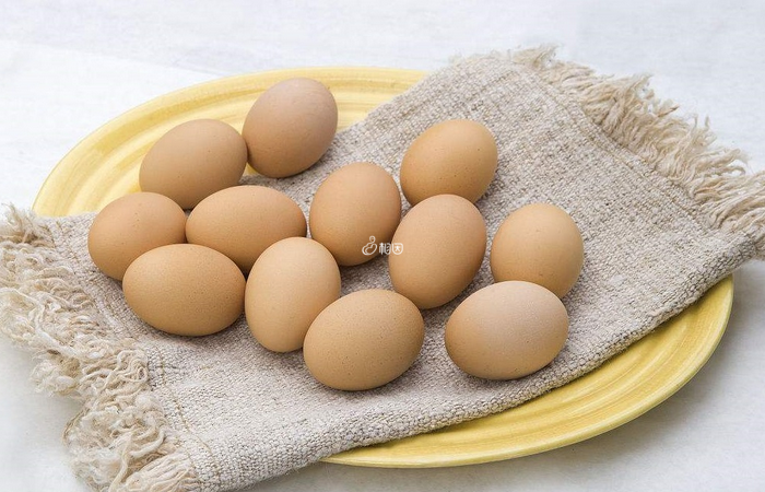 鸡蛋可以促进胚胎发育