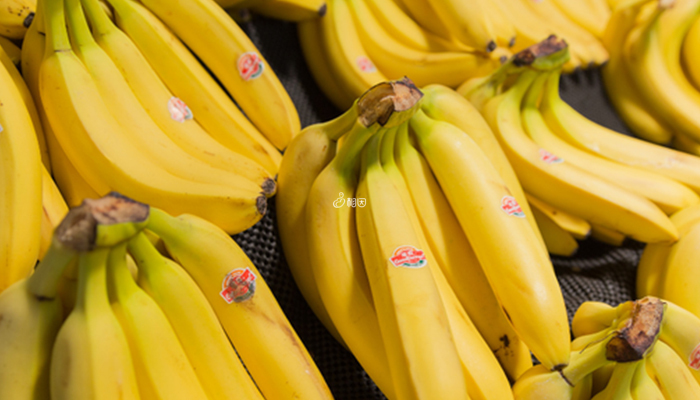 香蕉有通便润肠的作用