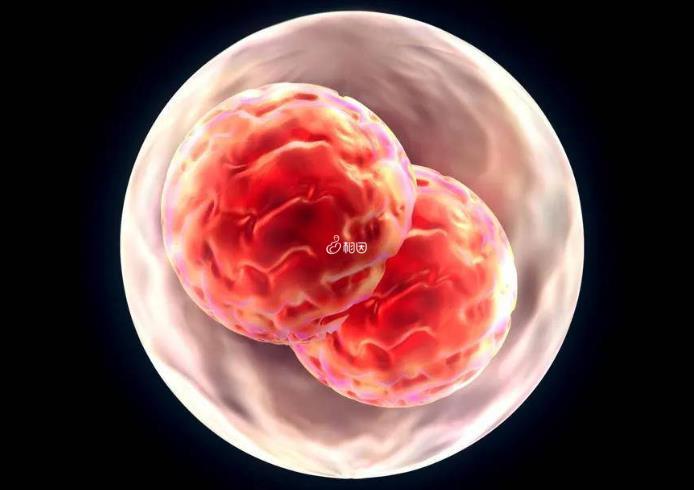 胚胎移植后免疫排斥怎么办