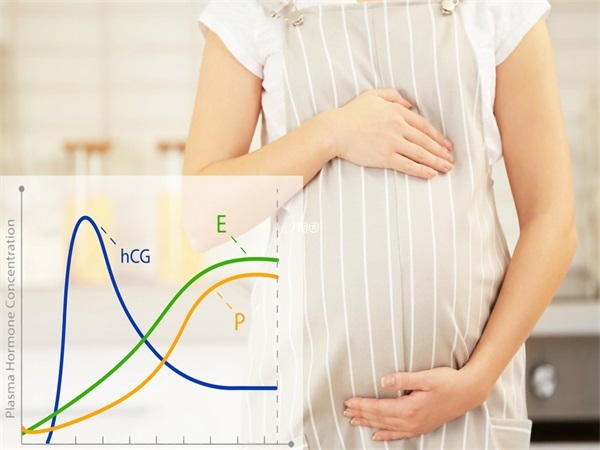 孕期雌孕激素会升高
