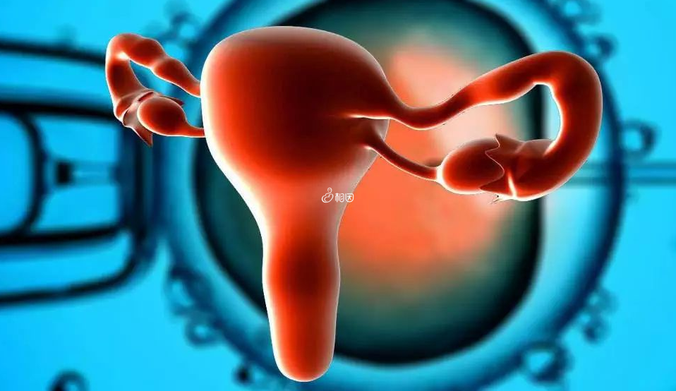 女性卵巢功能amh值下降到了0.74还能生育吗？