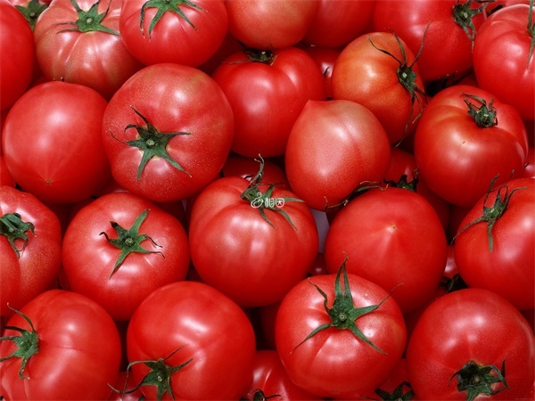 西红柿有利于小孩消食