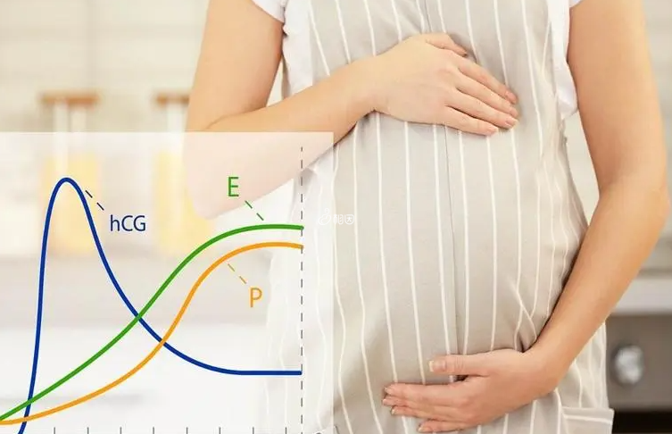卵黄囊主要是确认妊娠位置