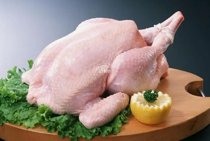 孕妇可以吃鸡肉