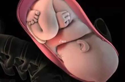 胎儿头围低于40cm适合顺产