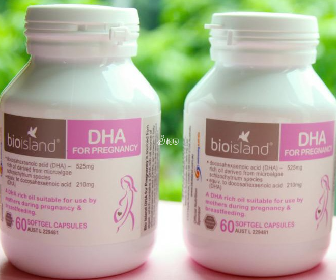 怀孕期间为什么需要补充DHA?怀孕期间补充DHA的标准