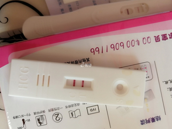 验孕棒显示2条杠说明怀孕了