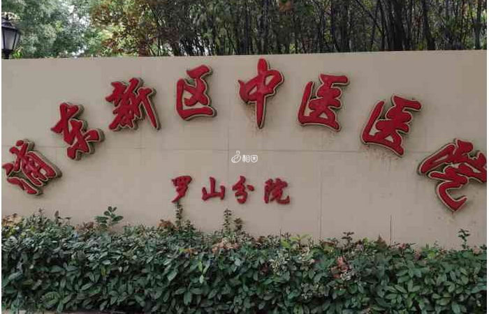 上海市浦东新区中医医院是全国首批示范性中医医院之一
