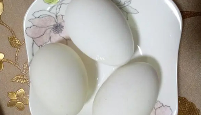 孕晚期吃鹅蛋可去胎毒防黄疸