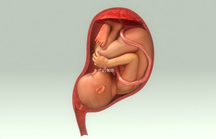 胎儿娩出的第一步是入盆