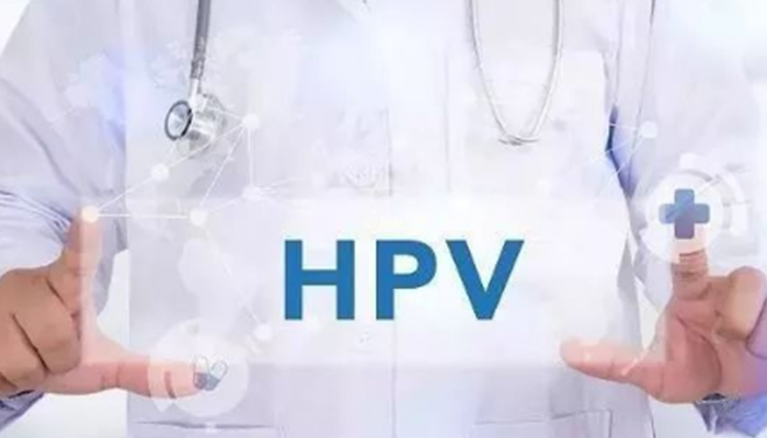 hpv感染率不同国家和地区有差异