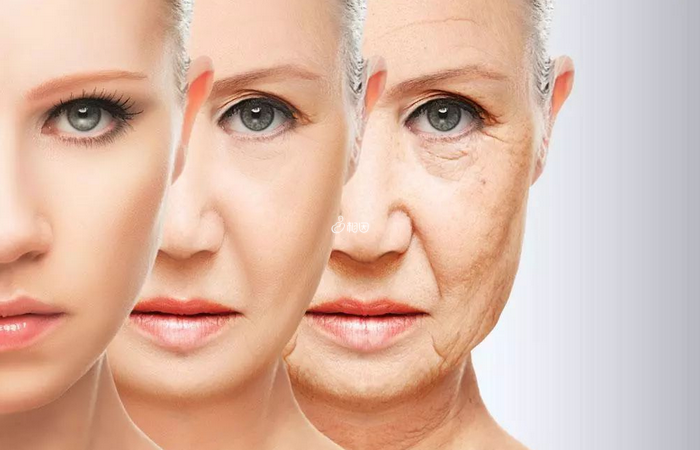 服用维生素b可以有效地延缓衰老