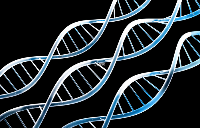 精子DNA完整性检测又被称为DNA碎片率检测