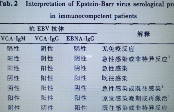 eb病毒五项检测报告中有五个数据