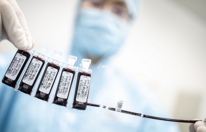 湖南正规合法的脐带血保存机构有两家