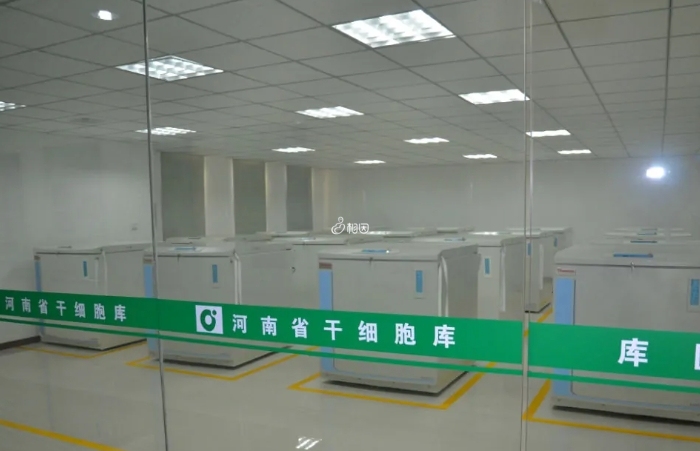 河南省干细胞库在郑州市