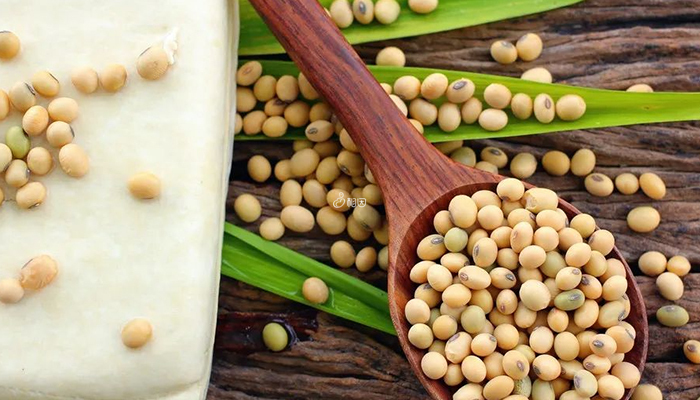促排期间多吃大豆制品有利于提高卵子质量