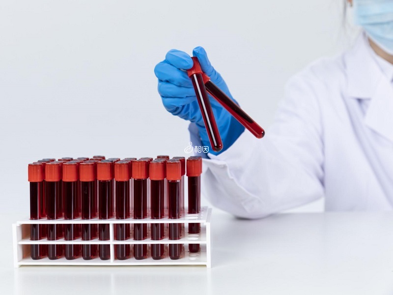 8周验血可以检测胎儿性别