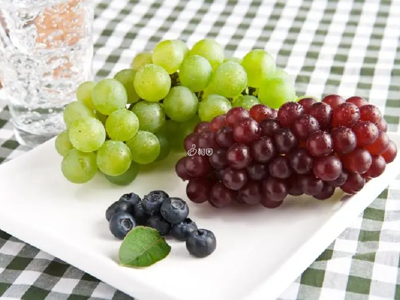 葡萄是碱性食物