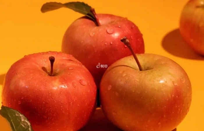 每天吃苹果1个以上可以降低癌症发病率