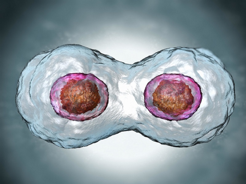 6细胞胚胎质量一般