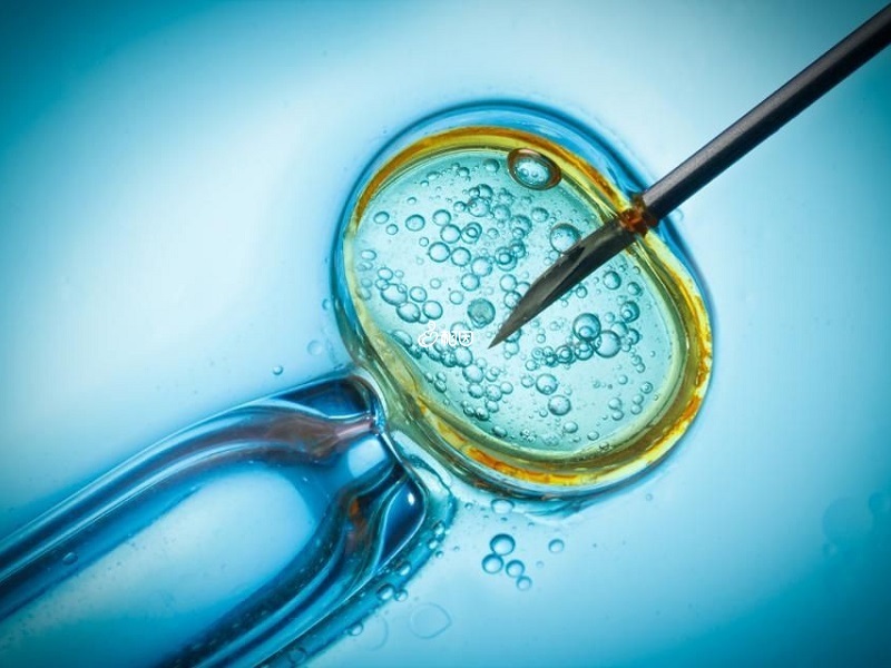 从技术上来说三代试管可以筛选胎儿性别