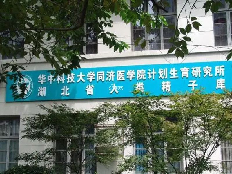 湖北精子库在武汉同济生殖医学专科医院