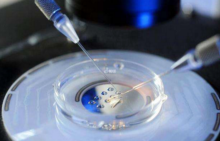促排卵针能够提高试管婴儿成功率