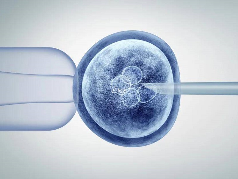 在选择胚胎移植时从优到次