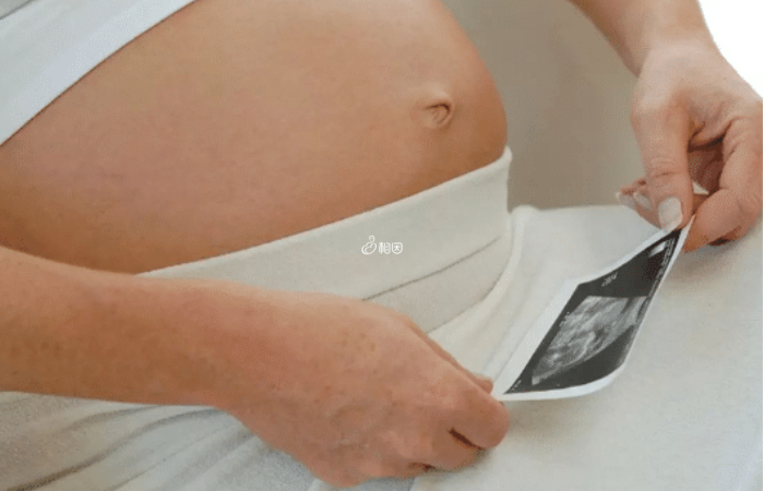 早期囊芽差可以作为妊娠时间的参考之一