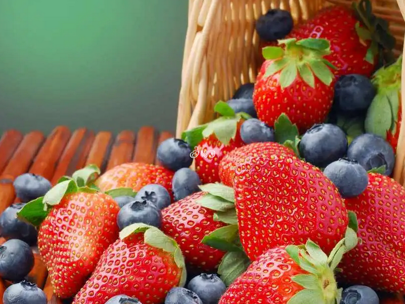 谷丙转氨酶高可以多吃富含维生素的水果