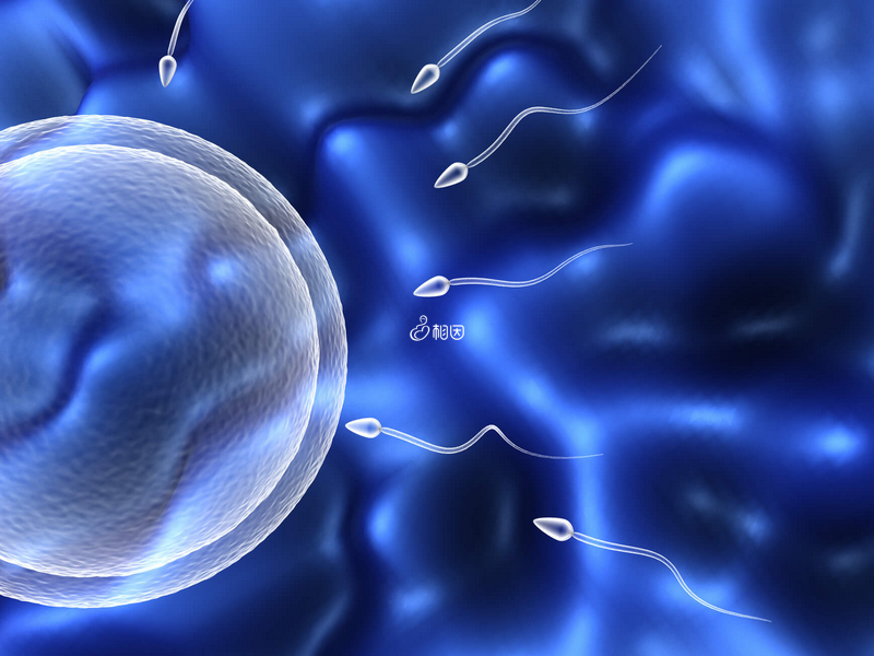 内膜厚度正常的人排卵后3到5天就是移植窗口期