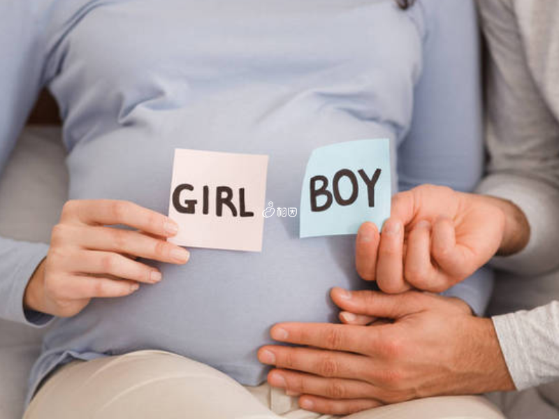 孕期的特征可以判断胎儿性别
