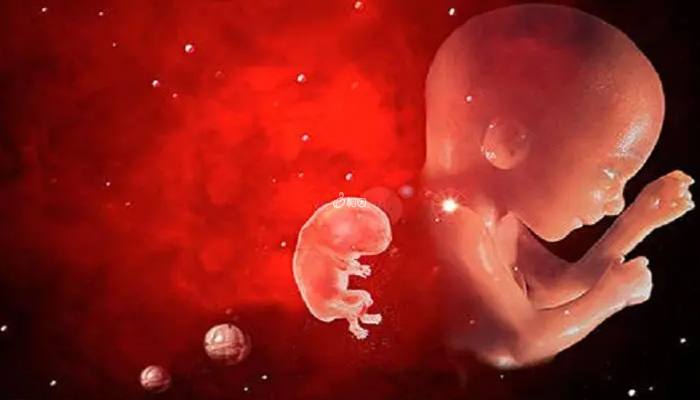 胎儿偏小可能是营养不良
