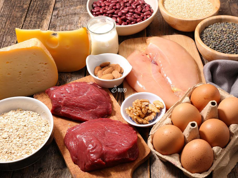 多吃高蛋白食物有利于提升卵子质量