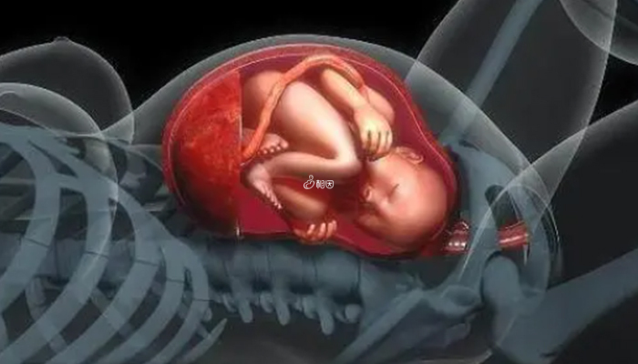 胎位也是影响顺产的条件之一