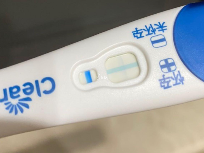 测试区出现加号表示怀孕