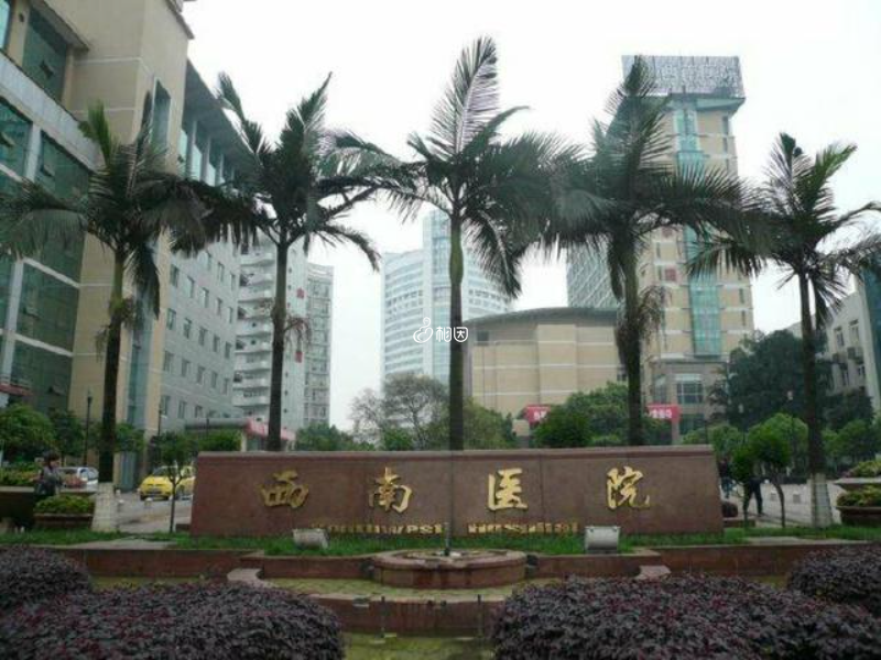 重庆西南医院生殖中心