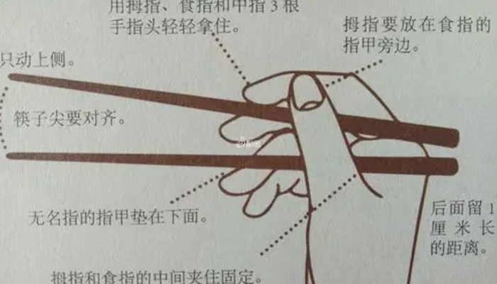 正确的握筷姿势