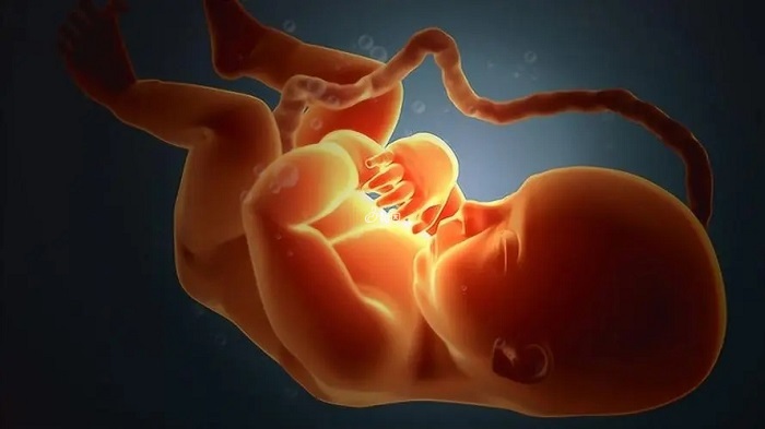 孕期摸肚子可能会导致胎儿脐带绕颈
