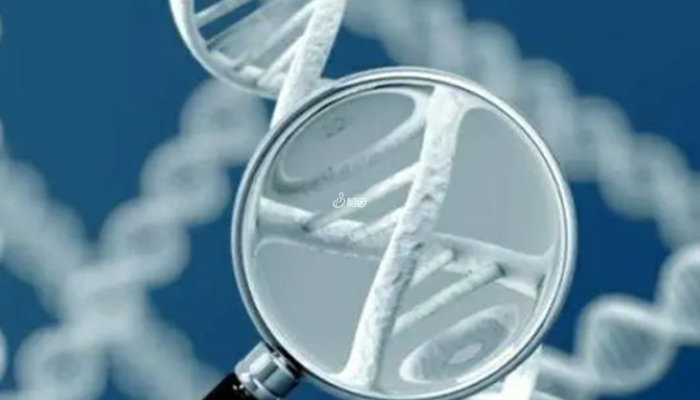 三代试管可以筛查一些基因遗传病
