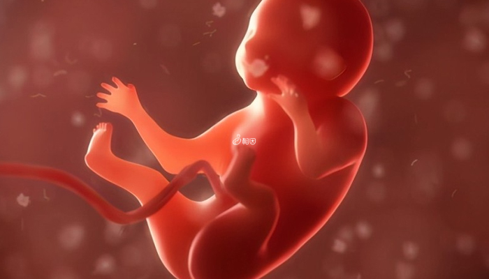 引起胎儿宫内发育迟缓的原因有多种