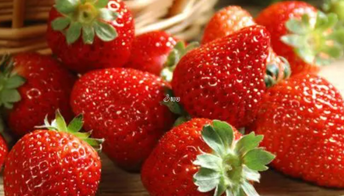 草莓营养价值高