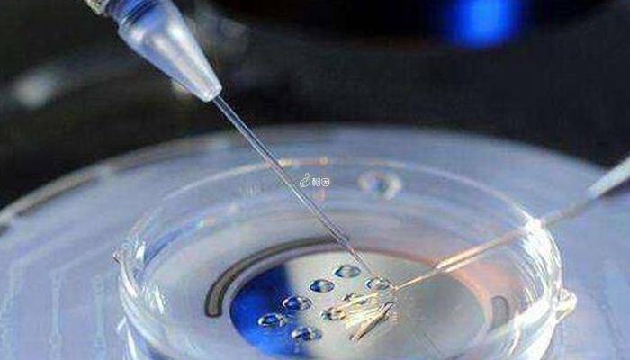 胚胎培养一般需5-6天