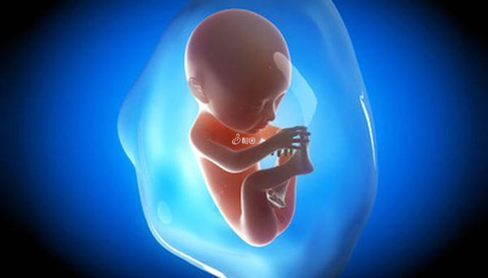 孕晚期胎盘成熟度三级说明胎盘功能减弱了
